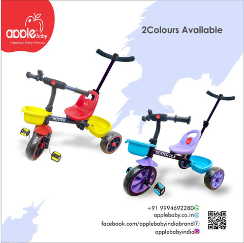 DEXTER DLX TRICYCLE_BC140