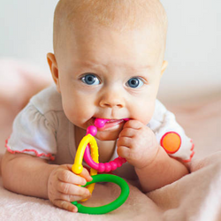 Baby Teether