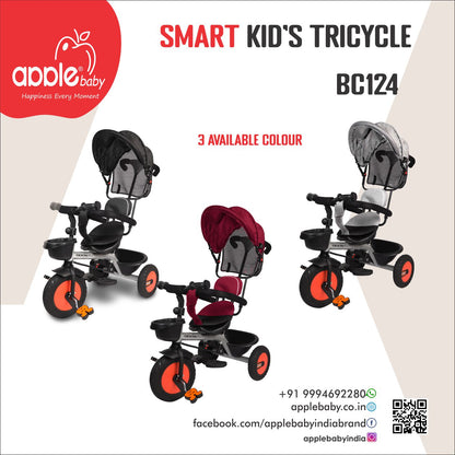 BC124_TRICYCLE