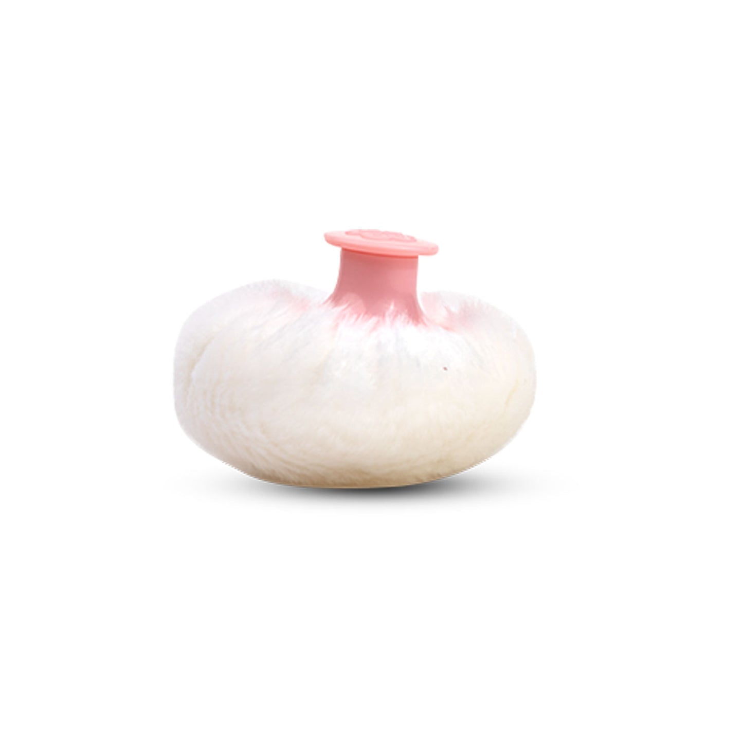 apple baby POWDER BOX WITH PUFF AC372 (Pack of 2)