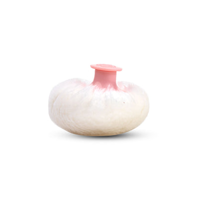 apple baby POWDER BOX WITH PUFF AC372 (Pack of 2)