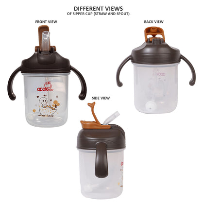 2 in 1 Straw & Spout Cup for Kids | Leak-Proof Training Cup AC441