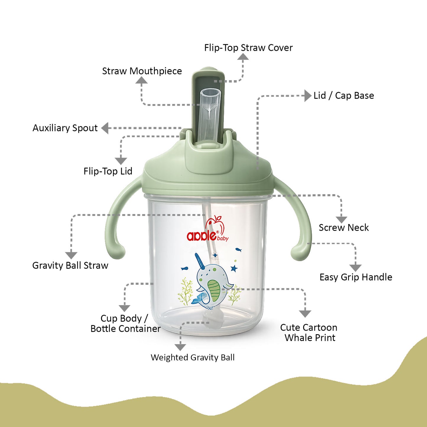 2 in 1 Straw & Spout Cup for Kids | Leak-Proof Training Cup AC441