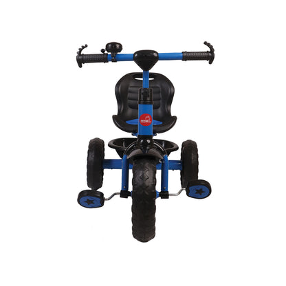 SASSY TRICYCLE BC135