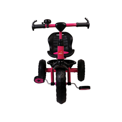 SASSY TRICYCLE BC135