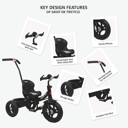 SASSY DX TRICYCLE BC136