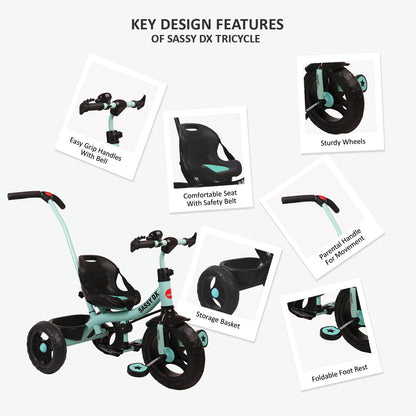 SASSY DX TRICYCLE BC136