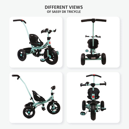 SASSY DX TRICYCLE BC136