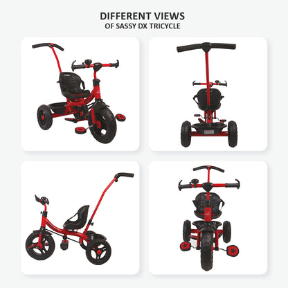 SASSY DX TRICYCLE BC136