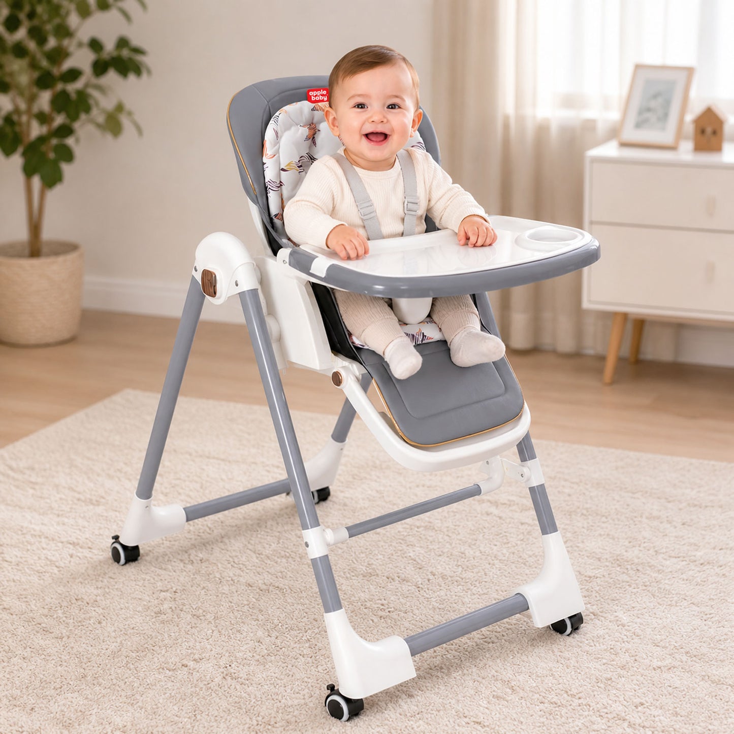 BC138 Multi-functional High-Chair Cum Swing